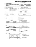 Heavy Metal Biosensor diagram and image