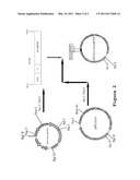 PROCESS FOR OBTAINING ASPART INSULIN USING A PICHIA PASTORIS YEAST STRAIN diagram and image