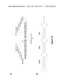 DOUBLE-STRANDED NUCLEIC ACID diagram and image