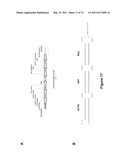 DOUBLE-STRANDED NUCLEIC ACID diagram and image