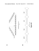 DOUBLE-STRANDED NUCLEIC ACID diagram and image