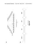 DOUBLE-STRANDED NUCLEIC ACID diagram and image