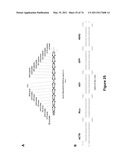 DOUBLE-STRANDED NUCLEIC ACID diagram and image