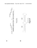 DOUBLE-STRANDED NUCLEIC ACID diagram and image