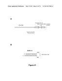 DOUBLE-STRANDED NUCLEIC ACID diagram and image