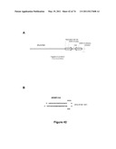 DOUBLE-STRANDED NUCLEIC ACID diagram and image