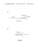 DOUBLE-STRANDED NUCLEIC ACID diagram and image