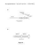 DOUBLE-STRANDED NUCLEIC ACID diagram and image