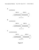 DOUBLE-STRANDED NUCLEIC ACID diagram and image