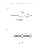 DOUBLE-STRANDED NUCLEIC ACID diagram and image