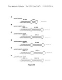 DOUBLE-STRANDED NUCLEIC ACID diagram and image