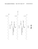 Methods and Compositions for the Recombinant Biosynthesis of n-Alkanes diagram and image