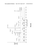 Methods and Compositions for the Recombinant Biosynthesis of n-Alkanes diagram and image