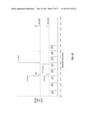 Methods and Compositions for the Recombinant Biosynthesis of n-Alkanes diagram and image