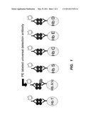 MULTIPLEX IMMUNOASSAYS FOR HEMOGLOBIN, HEMOGLOBIN VARIANTS, AND GLYCATED FORMS diagram and image