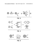 Capture compounds, collections thereof and methods for analyzing the proteome and complex compositions diagram and image