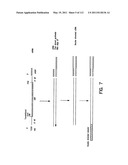 Capture compounds, collections thereof and methods for analyzing the proteome and complex compositions diagram and image