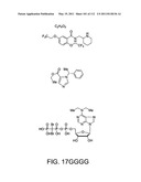 Capture compounds, collections thereof and methods for analyzing the proteome and complex compositions diagram and image