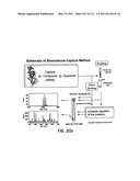 Capture compounds, collections thereof and methods for analyzing the proteome and complex compositions diagram and image