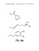 Capture compounds, collections thereof and methods for analyzing the proteome and complex compositions diagram and image