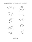 Capture compounds, collections thereof and methods for analyzing the proteome and complex compositions diagram and image