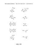 Capture compounds, collections thereof and methods for analyzing the proteome and complex compositions diagram and image