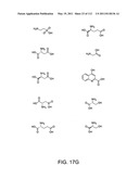 Capture compounds, collections thereof and methods for analyzing the proteome and complex compositions diagram and image