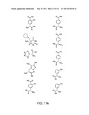 Capture compounds, collections thereof and methods for analyzing the proteome and complex compositions diagram and image