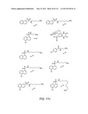 Capture compounds, collections thereof and methods for analyzing the proteome and complex compositions diagram and image