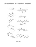 Capture compounds, collections thereof and methods for analyzing the proteome and complex compositions diagram and image