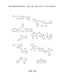 Capture compounds, collections thereof and methods for analyzing the proteome and complex compositions diagram and image