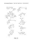 Capture compounds, collections thereof and methods for analyzing the proteome and complex compositions diagram and image