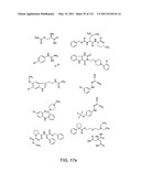 Capture compounds, collections thereof and methods for analyzing the proteome and complex compositions diagram and image