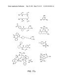 Capture compounds, collections thereof and methods for analyzing the proteome and complex compositions diagram and image