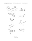 Capture compounds, collections thereof and methods for analyzing the proteome and complex compositions diagram and image