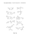 Capture compounds, collections thereof and methods for analyzing the proteome and complex compositions diagram and image