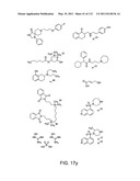 Capture compounds, collections thereof and methods for analyzing the proteome and complex compositions diagram and image