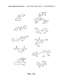 Capture compounds, collections thereof and methods for analyzing the proteome and complex compositions diagram and image