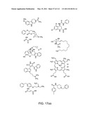 Capture compounds, collections thereof and methods for analyzing the proteome and complex compositions diagram and image