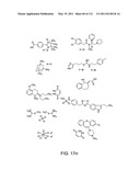 Capture compounds, collections thereof and methods for analyzing the proteome and complex compositions diagram and image