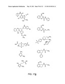 Capture compounds, collections thereof and methods for analyzing the proteome and complex compositions diagram and image