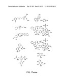 Capture compounds, collections thereof and methods for analyzing the proteome and complex compositions diagram and image