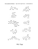 Capture compounds, collections thereof and methods for analyzing the proteome and complex compositions diagram and image