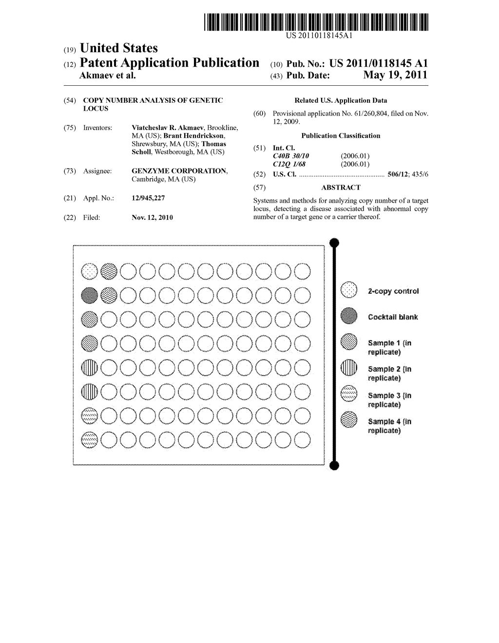 COPY NUMBER ANALYSIS OF GENETIC LOCUS - diagram, schematic, and image 01