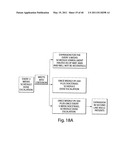 COMPOSITIONS, KITS, AND METHODS FOR IDENTIFICATION, ASSESSMENT, PREVENTION, AND THERAPY OF CANCER diagram and image