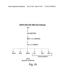 COMPOSITIONS, KITS, AND METHODS FOR IDENTIFICATION, ASSESSMENT, PREVENTION, AND THERAPY OF CANCER diagram and image