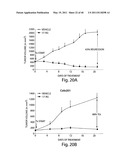 COMPOSITIONS, KITS, AND METHODS FOR IDENTIFICATION, ASSESSMENT, PREVENTION, AND THERAPY OF CANCER diagram and image