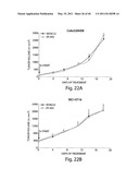 COMPOSITIONS, KITS, AND METHODS FOR IDENTIFICATION, ASSESSMENT, PREVENTION, AND THERAPY OF CANCER diagram and image