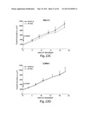 COMPOSITIONS, KITS, AND METHODS FOR IDENTIFICATION, ASSESSMENT, PREVENTION, AND THERAPY OF CANCER diagram and image