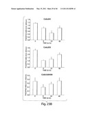 COMPOSITIONS, KITS, AND METHODS FOR IDENTIFICATION, ASSESSMENT, PREVENTION, AND THERAPY OF CANCER diagram and image